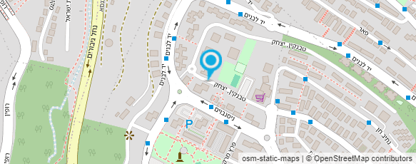 מפת הגעה אל מיכל הס - מרצה לתרבויות