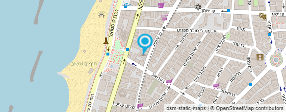 מפת הגעה אל בורגר בר 39