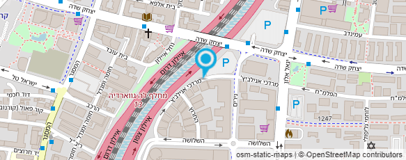 מפת הגעה אל אמיר גינון