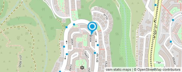 מפת הגעה אל לידיה - עיסוי רפואי