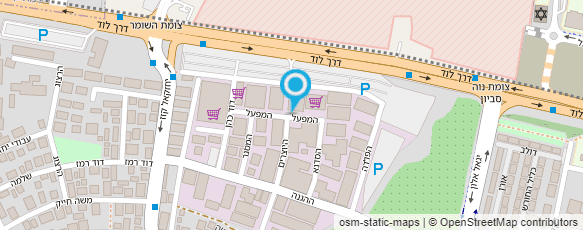 מפת הגעה אל נט-טרנסליישנס בע"מ