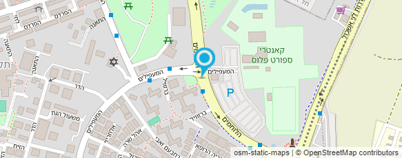 מפת הגעה אל מוניות וולפסון