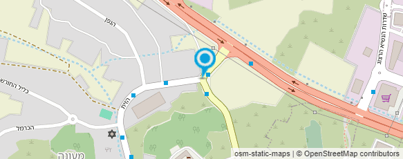 מפת הגעה אל פרחים בחצר מפת הגעה אל פרחים בחצר