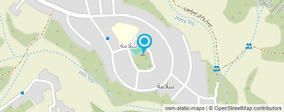 מפת הגעה אל ביה"ס לנהיגה צלמון