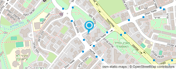 מפת הגעה אל איריס הפעלות יצירה וקעקועים