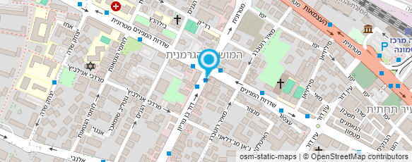 מפת הגעה אל מכון רביב;לקויות למידה