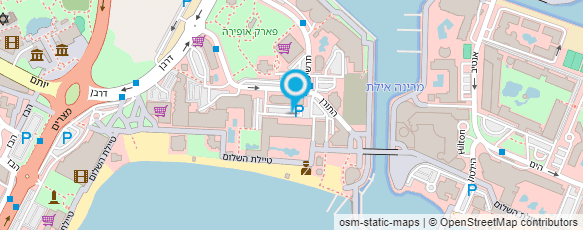 מפת הגעה אל גלריה דקל