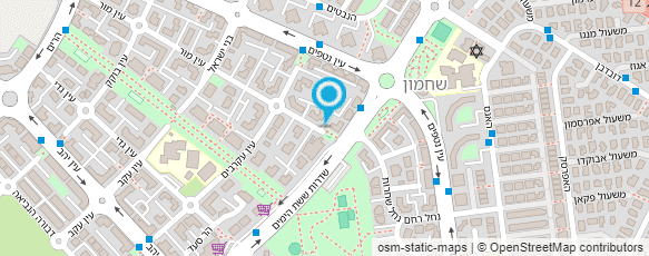 מפת הגעה אל מגע הקסם של אודליה