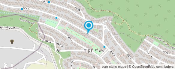 מפת הגעה אל קריקטורה ודיוקן - עמסטילבסקי נטליה