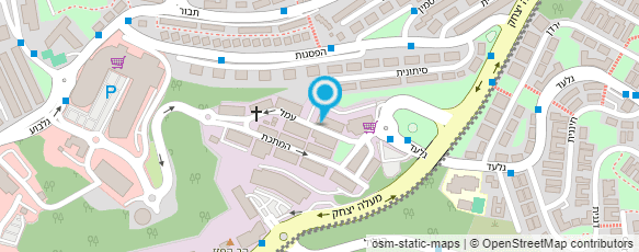 מפת הגעה אל כרמל פלור דיזיין