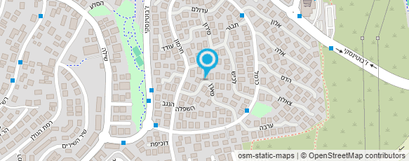 מפת הגעה אל אמיתי שרה - פאלם תראפי