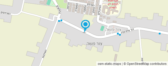 מפת הגעה אל פרחי הדר צור משה