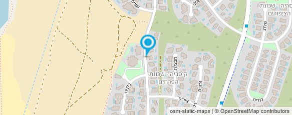 מפת הגעה אל רפואה אחרת- בלה טופז