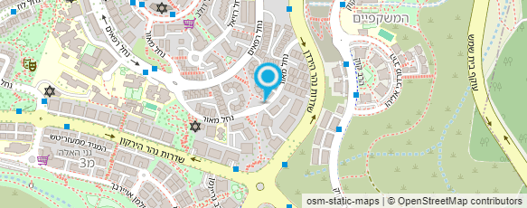 מפת הגעה אל פיצה ירושלים 10