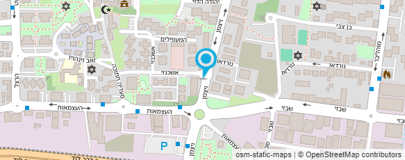 מפת הגעה אל שרותי דוד ישראל