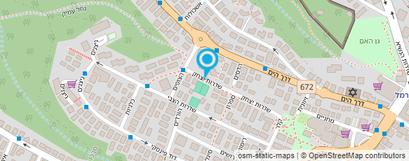 מפת הגעה אל גולדמן עינת- דרך המגע לשינוי