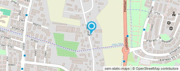 מפת הגעה אל וילדמן - פרח רואי חשבון