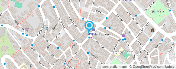 מפת הגעה אל נתדנט