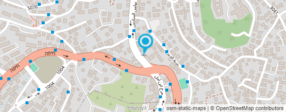 מפת הגעה אל בית מרקחת פרח אלנאסרה