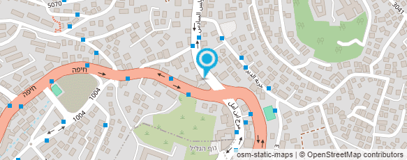 מפת הגעה אל "מוניות דיאנא"