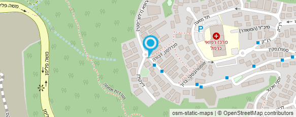 מפת הגעה אל מופע הבלונים של קרן