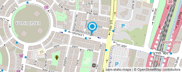 מפת הגעה אל רומי - צבע ושיפוצים