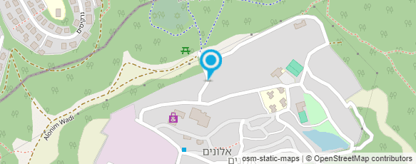 מפת הגעה אל קרייזי ליין