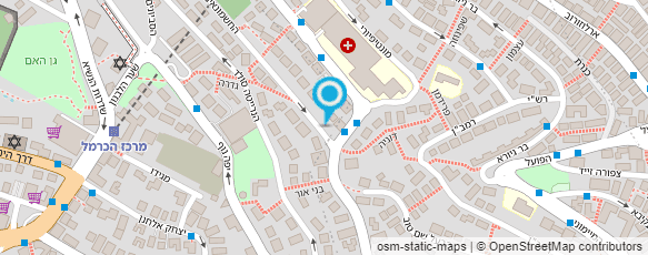 מפת הגעה אל גלרית רחלי אור -  ציירת