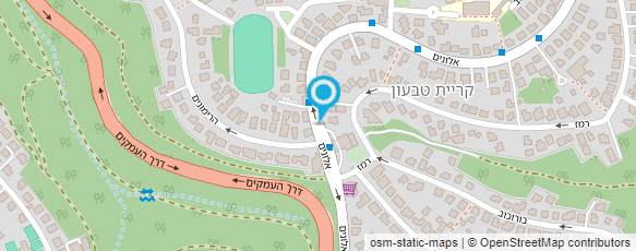 מפת הגעה אל פזית כרמון-טיפול באמנות