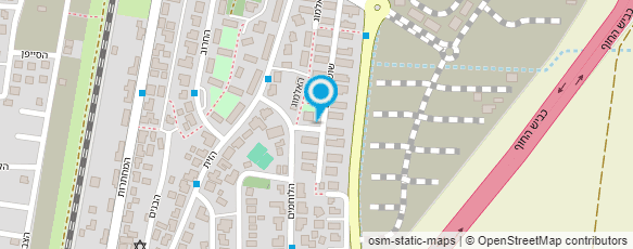 מפת הגעה אל דוד שריקי מפת הגעה אל דוד שריקי