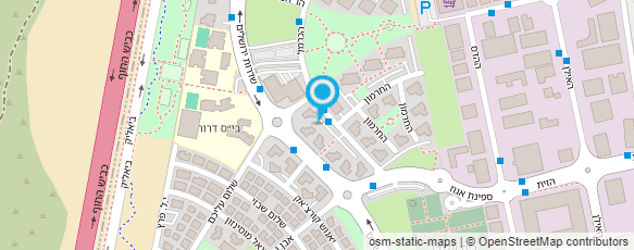 מפת הגעה אל הקסם שביופי - אורלי שחר