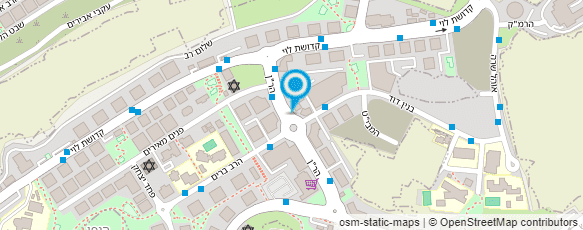 מפת הגעה אל בזאר שטראוס