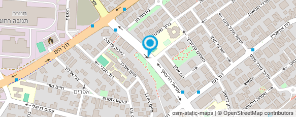 מפת הגעה אל דמצ'נקו אירנה