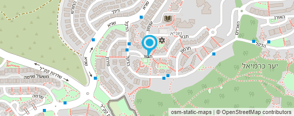 מפת הגעה אל נדב אריכא-אבטחת מידע