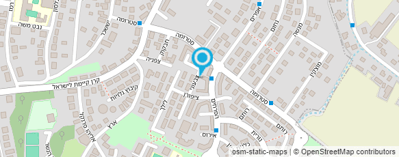 מפת הגעה אל ברוך רחל, עריכת לשון