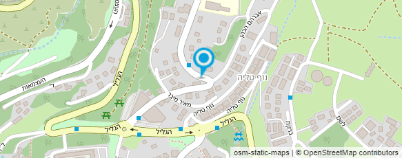 מפת הגעה אל פסגת הטעם