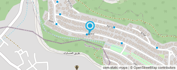 מפת הגעה אל צילה סלומון