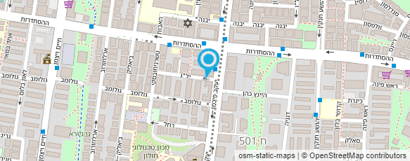 מפת הגעה אל ריקי סולומון