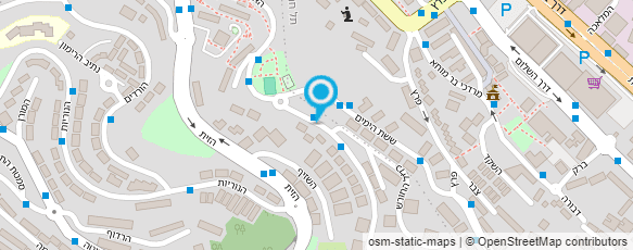 מפת הגעה אל פינק