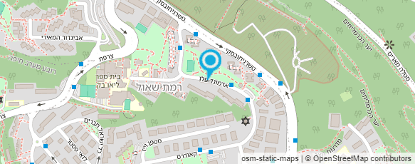 מפת הגעה אל רייקו אלכס גינון מפת הגעה אל רייקו אלכס גינון