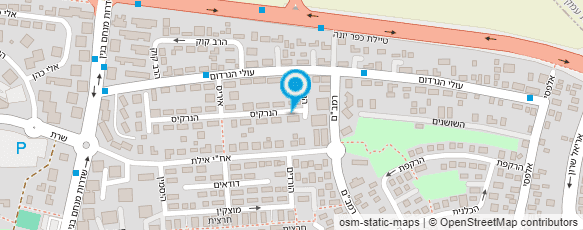 מפת הגעה אל נטלי נט