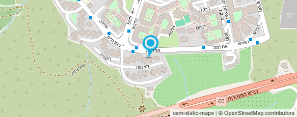 מפת הגעה אל אוולין עיסויים  ורפואה משלימה