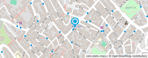 מפת הגעה אל מילגם שרותים לעיר בע"מ