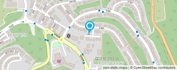 מפת הגעה אל אורנמנט - אימון ותמיכה להרזיה