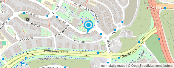 מפת הגעה אל שלומית תמיר בן ארי