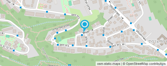 מפת הגעה אל יוליה- עיסויים רפואיים; שוודיים; איור וודה