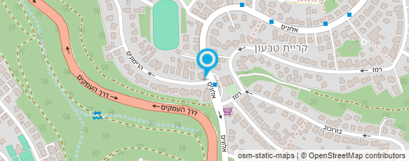 מפת הגעה אל דליה גולדנר