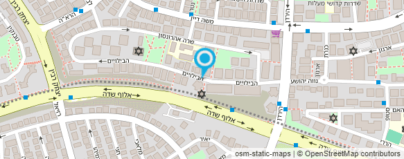 מפת הגעה אל אדר גרינפלד - הומאופתיה קלאסית