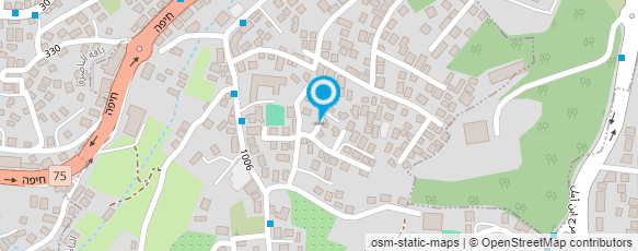 מפת הגעה אל ניו סטאר טורס בע"מ