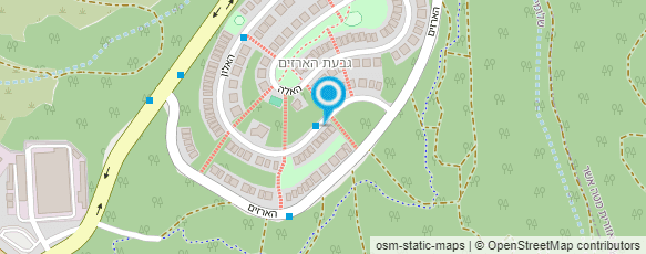 מפת הגעה אל גלית נדלר- ספרית